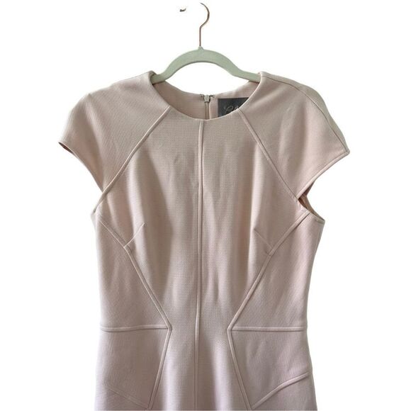 Lela Rose Cap Sleeve Sheath Mini Dress Women’s Light Pink Size 6 - Picture 3 of 6